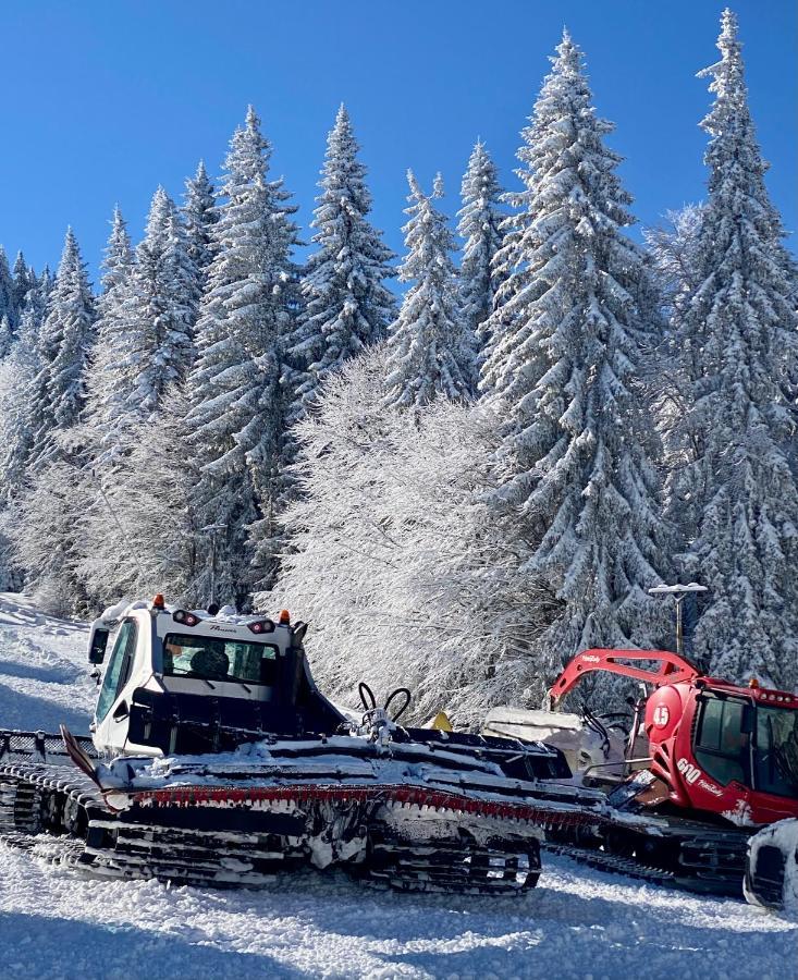 Luxury Aparthotel Studenets Pamporovo Kültér fotó