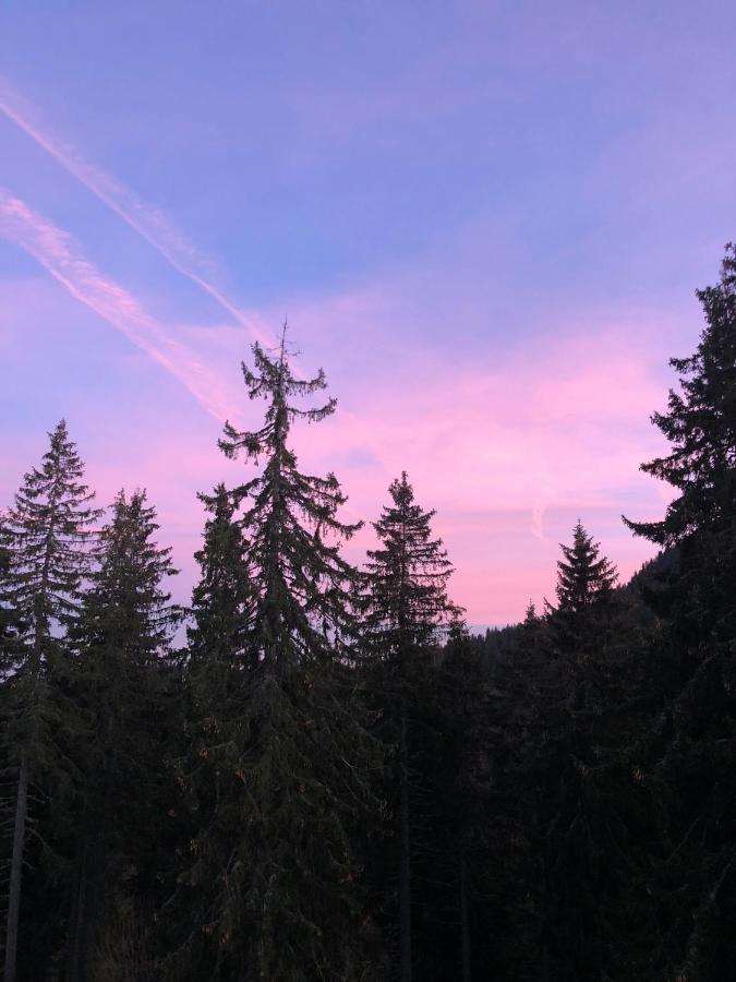 Luxury Aparthotel Studenets Pamporovo Kültér fotó